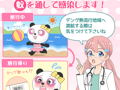 デング熱の予防・症状まとめ